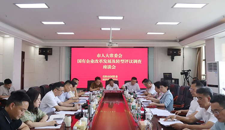 國有企業(yè)改革發(fā)展及轉型工作評議調查座談會舉行