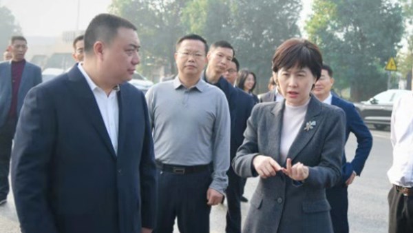 市委副書記、市長李愛武調(diào)研公司胥家橋綜合物流園項目建設(shè)