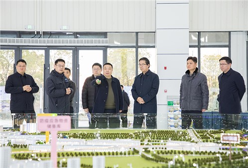 肖文偉赴岳陽檢查調(diào)研國資國企工作