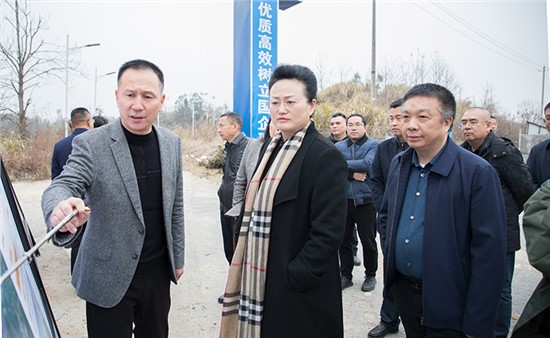 魏淑萍實地調(diào)研G353岳陽東站至洞庭湖大橋公路工程項目
