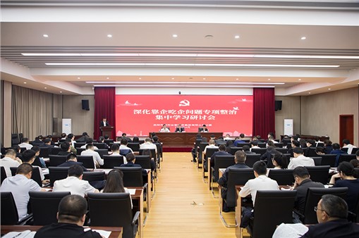 集團(tuán)組織開展深化靠企吃企問題專項(xiàng)整治集中學(xué)習(xí)研討暨紀(jì)法知識測試